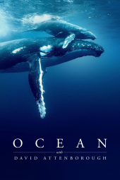 دانلود فیلم اقیانوس با دیوید اتنبرو Ocean with David Attenborough 2025