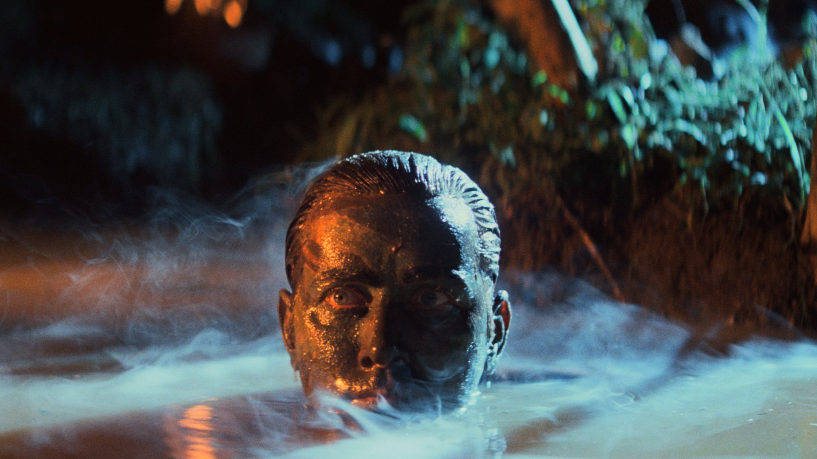 دانلود فیلم اینک آخرالزمان Apocalypse Now 1979