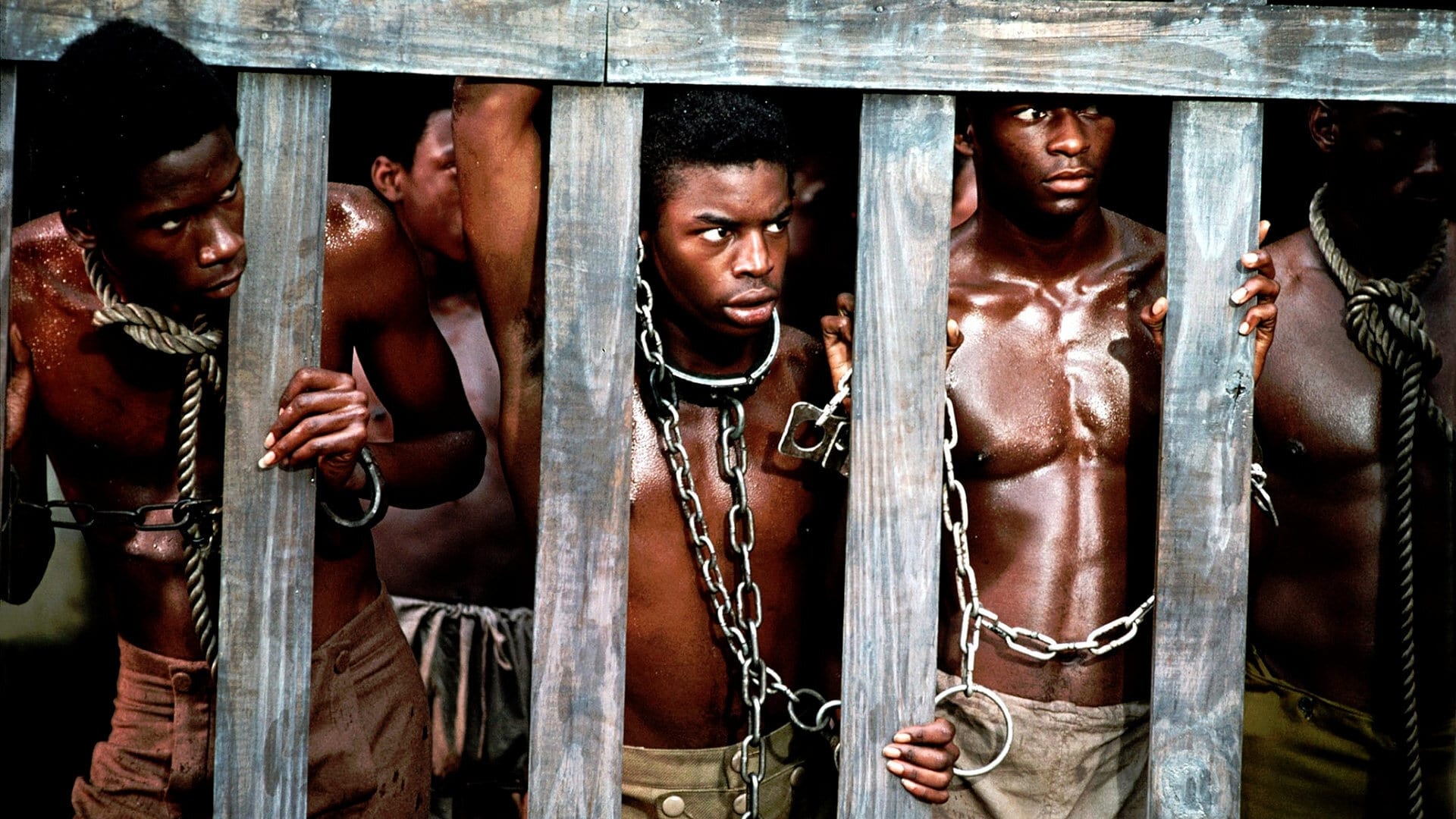دانلود سریال ریشه ها Roots 1977