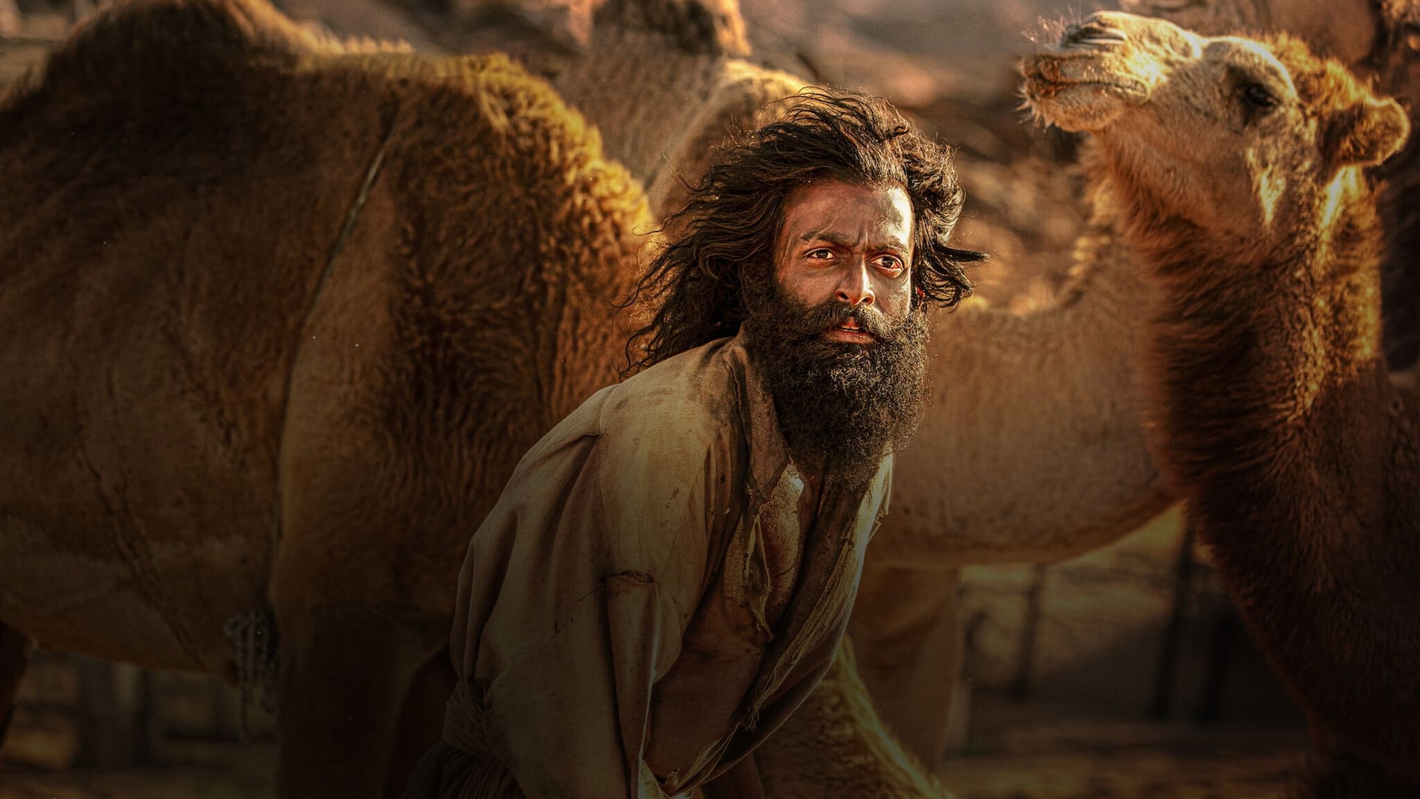 دانلود فیلم زندگی بزی The Goat Life 2024