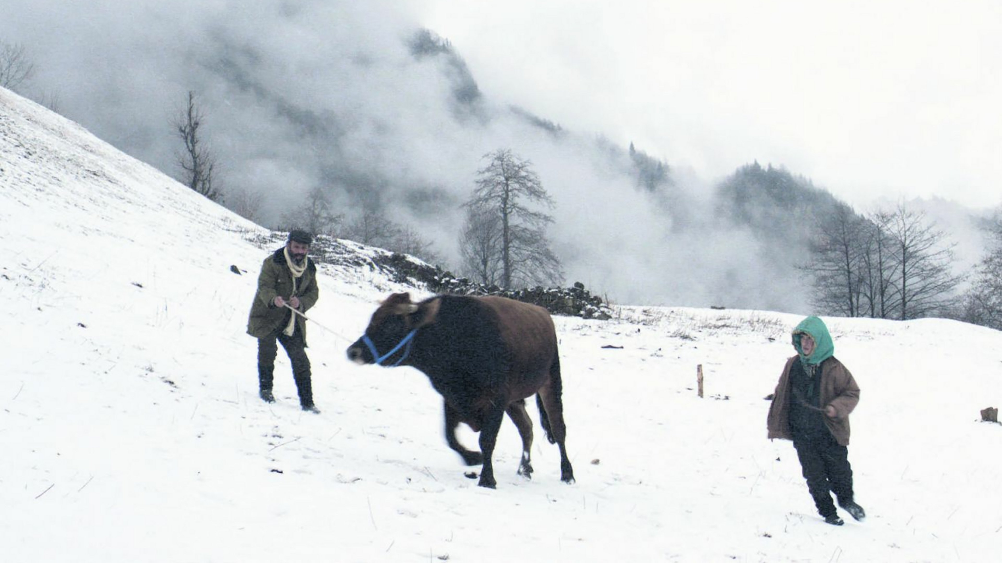 دانلود فیلم چله زمستان Cold of Kalandar 2015