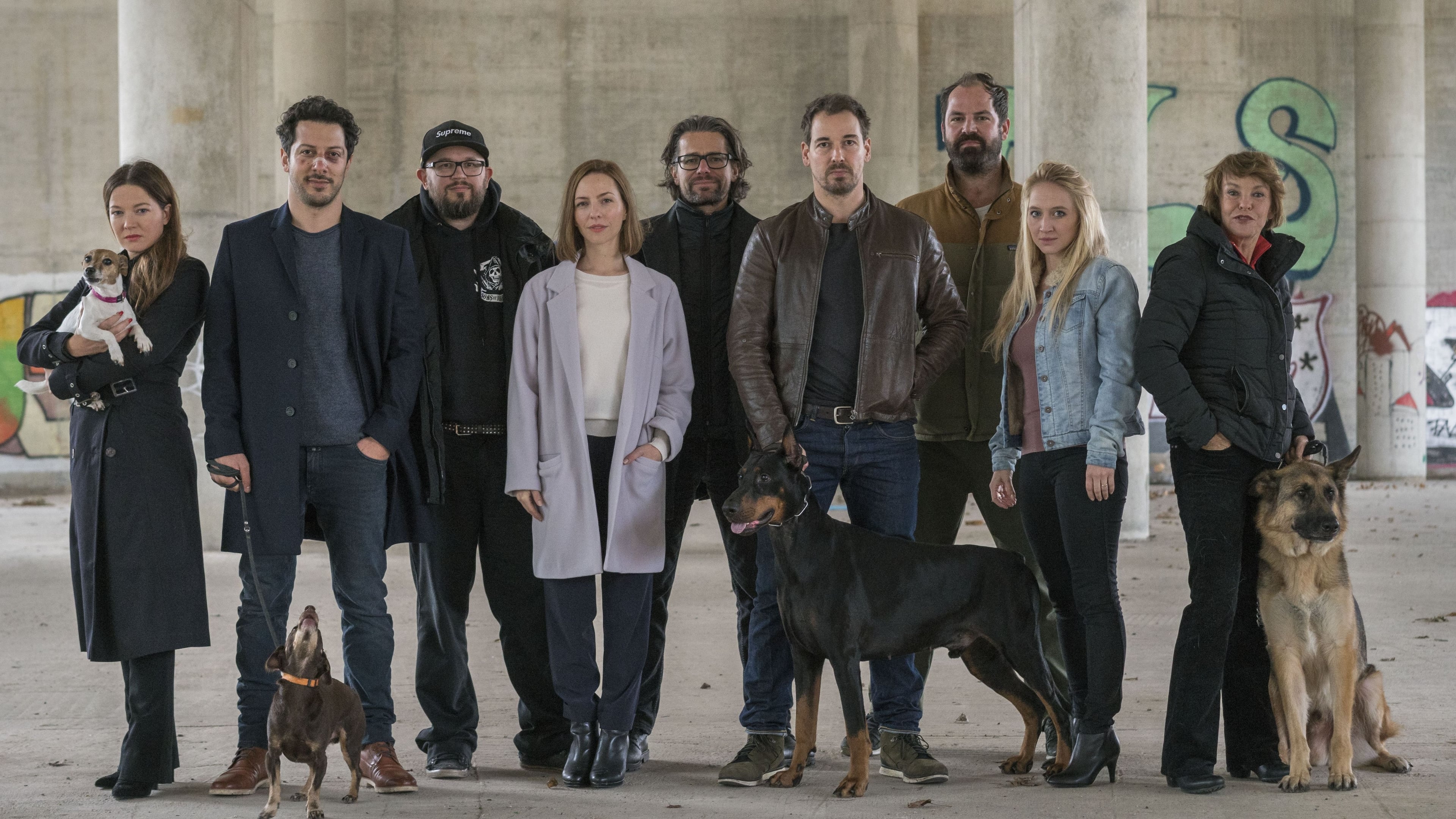 دانلود سریال سگ های برلین Dogs of Berlin 2018